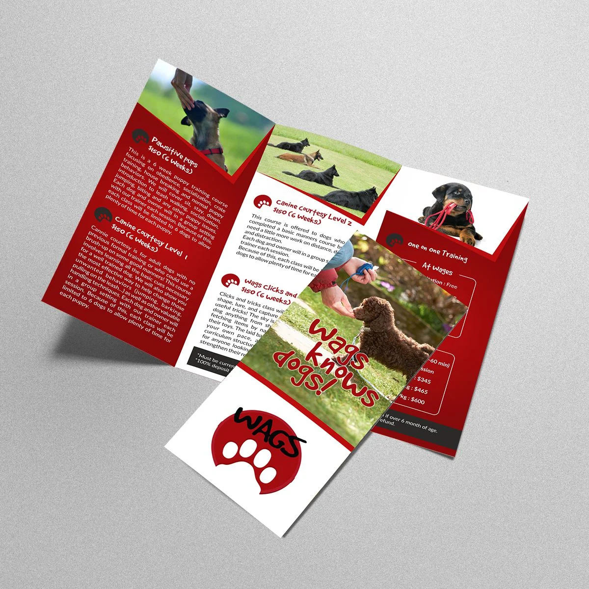 Wag Knows Dogs - Brochure design
